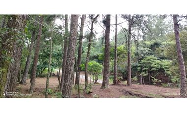 Oportunidad de Inversión - Chiriquí/Investment Opportunity in Chiriqui