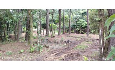 Oportunidad de Inversión - Chiriquí/Investment Opportunity in Chiriqui