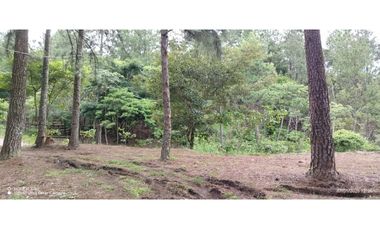 Oportunidad de Inversión - Chiriquí/Investment Opportunity in Chiriqui