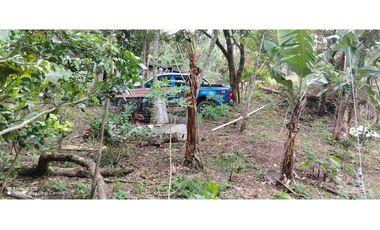 Oportunidad de Inversión - Chiriquí/Investment Opportunity in Chiriqui