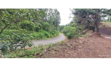 Oportunidad de Inversión - Chiriquí/Investment Opportunity in Chiriqui