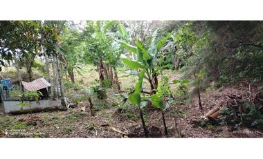 Oportunidad de Inversión - Chiriquí/Investment Opportunity in Chiriqui