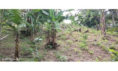 Oportunidad de Inversión - Chiriquí/Investment Opportunity in Chiriqui