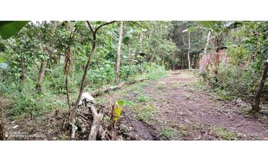 Oportunidad de Inversión - Chiriquí/Investment Opportunity in Chiriqui