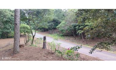 Oportunidad de Inversión - Chiriquí/Investment Opportunity in Chiriqui