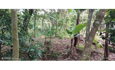 Oportunidad de Inversión - Chiriquí/Investment Opportunity in Chiriqui