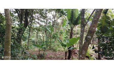 Oportunidad de Inversión - Chiriquí/Investment Opportunity in Chiriqui