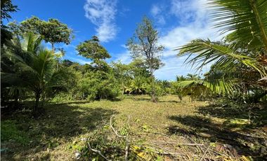 Se vende Terreno de 10,000 mts2 frente al mar Caribe en Bocas del Toro