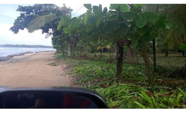 Se vende Terreno de 10,000 mts2 frente al mar Caribe en Bocas del Toro
