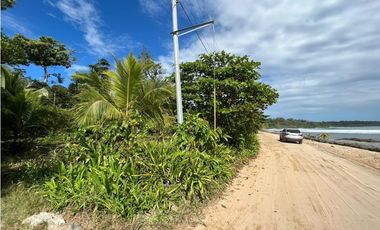 Se vende Terreno de 10,000 mts2 frente al mar Caribe en Bocas del Toro