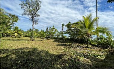 Se vende Terreno de 10,000 mts2 frente al mar Caribe en Bocas del Toro