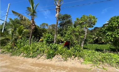 Se vende Terreno de 10,000 mts2 frente al mar Caribe en Bocas del Toro