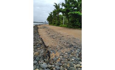 Se vende Terreno de 10,000 mts2 frente al mar Caribe en Bocas del Toro