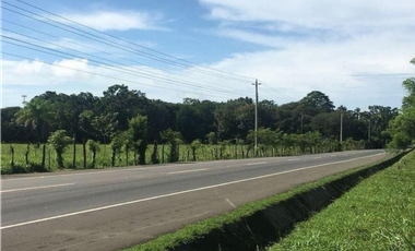 Se Vende Finca en David