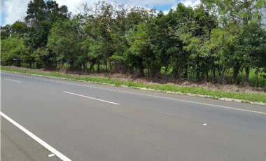 Se Vende Finca en David
