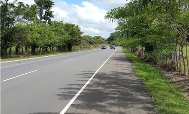Se Vende Finca en David