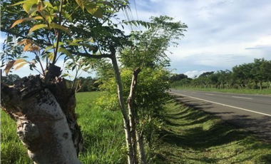 Se Vende Finca en David