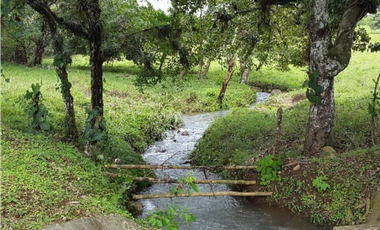 Se Vende Finca en David