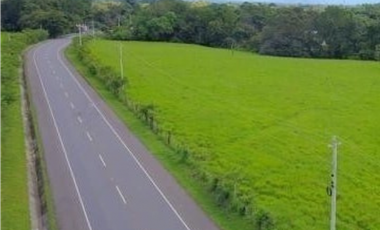 Se Vende Finca en David