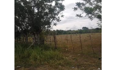 Finca de 22.16 Hectareas con 100 metros frente Via Queravalo