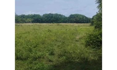 Finca de 22.16 Hectareas con 100 metros frente Via Queravalo