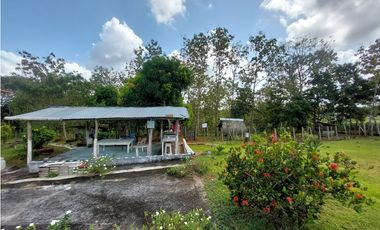 Finca, Venta, Chorrera, Arosemena, 106 hectáreas