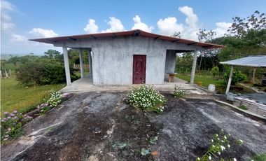 Finca, Venta, Chorrera, Arosemena, 106 hectáreas