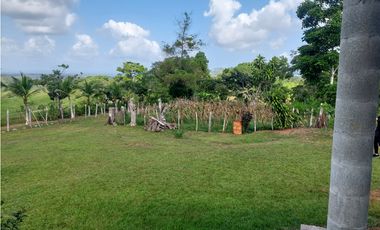 Finca, Venta, Chorrera, Arosemena, 106 hectáreas