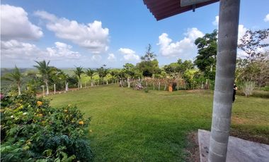 Finca, Venta, Chorrera, Arosemena, 106 hectáreas