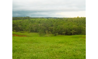 Finca, Venta, Chorrera, Arosemena, 106 hectáreas