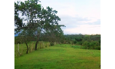 Finca, Venta, Chorrera, Arosemena, 106 hectáreas