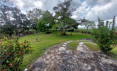 Finca, Venta, Chorrera, Arosemena, 106 hectáreas