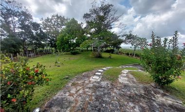 Finca, Venta, Chorrera, Arosemena, 106 hectáreas