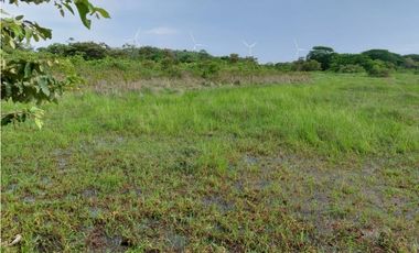 REMATE DE TERRENO EN PENONOME IDEAL PARA BARRIADAS