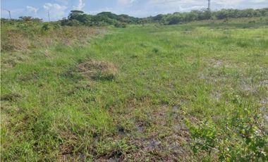 REMATE DE TERRENO EN PENONOME IDEAL PARA BARRIADAS