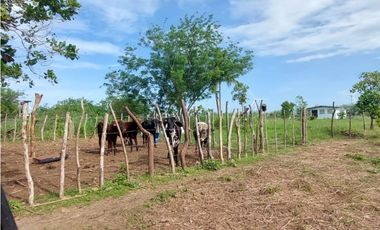 REMATE DE TERRENO EN PENONOME IDEAL PARA BARRIADAS