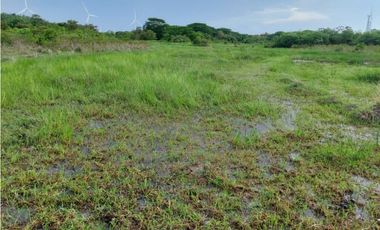 REMATE DE TERRENO EN PENONOME IDEAL PARA BARRIADAS