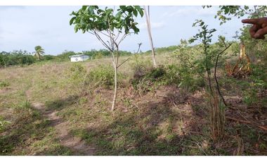 REMATE DE TERRENO EN PENONOME IDEAL PARA BARRIADAS