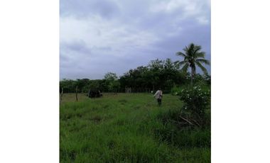 REMATE DE TERRENO EN PENONOME IDEAL PARA BARRIADAS