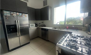 Apartamento en Venta en PH Punta Barco Village