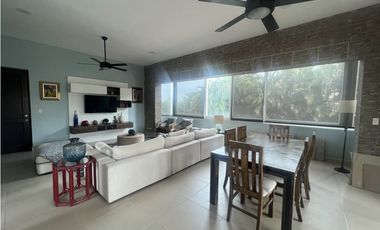Apartamento en Venta en PH Punta Barco Village