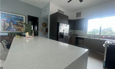 Apartamento en Venta en PH Punta Barco Village