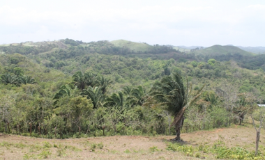 Terreno en San Vicente de Chilibre (ID 10356)