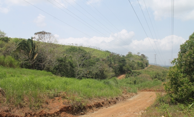 Terreno en San Vicente de Chilibre (ID 10356)