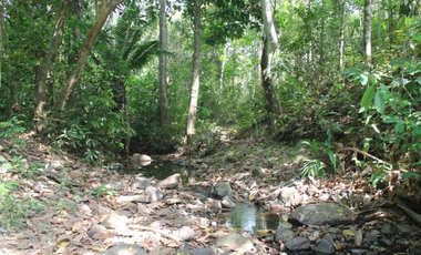 Terreno en San Vicente de Chilibre (ID 10356)