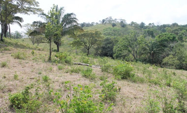 Terreno en San Vicente de Chilibre (ID 10356)