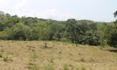 Terreno en San Vicente de Chilibre (ID 10356)