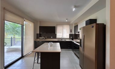 Venta de apartamento amoblado Ph River Valley