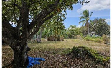 Vendo lote que colinda con el campo de golf del Hotel Coronado Golf