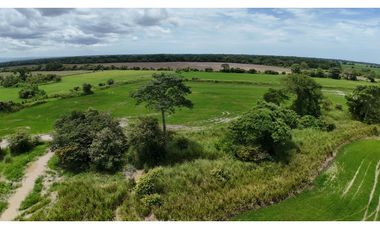 Se Vende Finca en Antón